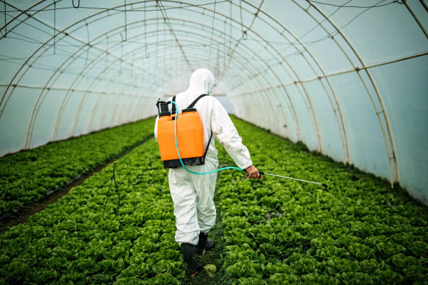 Best Pest Inspection Near Me  in Nampa, ID