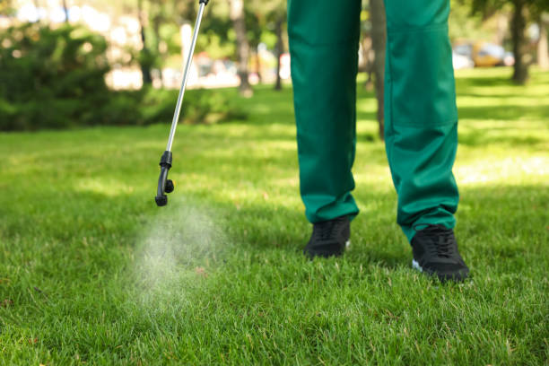 Best Affordable Pest Control Services  in Nampa, ID