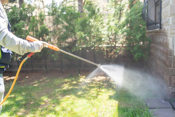 Best Mosquito Control Services  in Nampa, ID