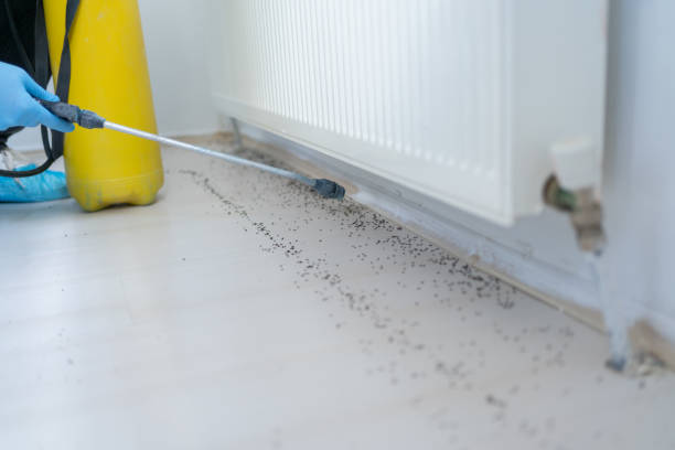 Best Exterminator Services  in Nampa, ID